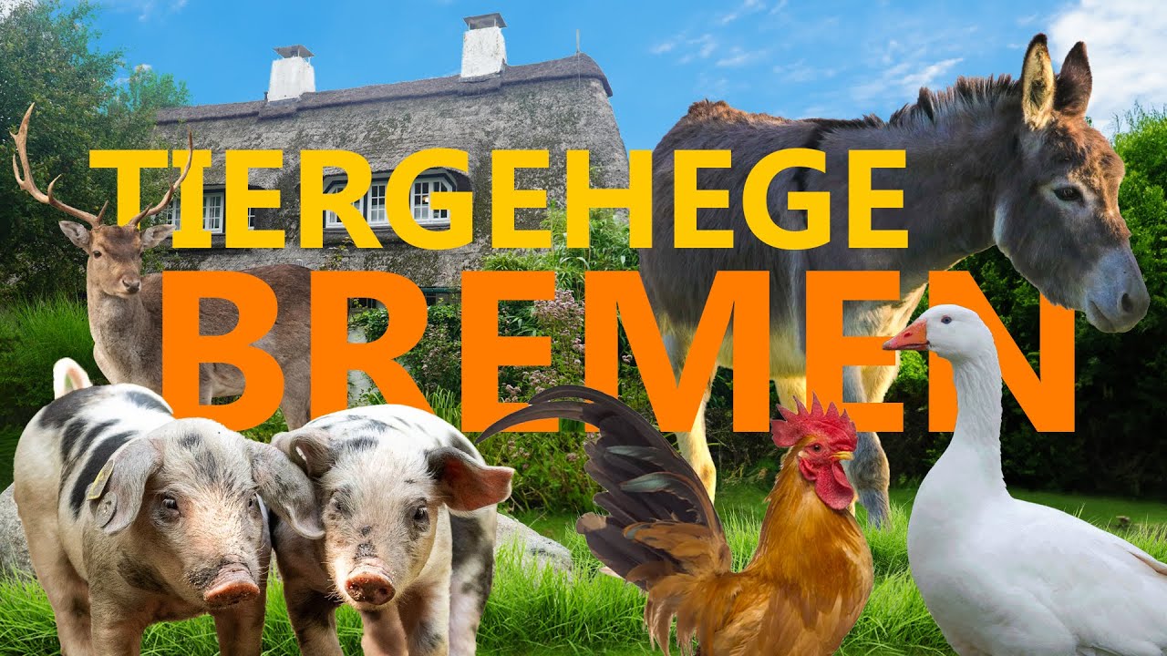 Tiergehege im Bürgerpark Bremen | Zoo-Eindruck
