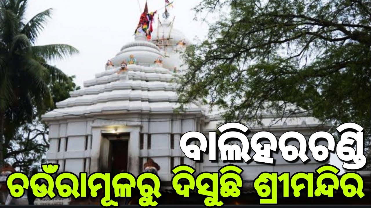 BaliHarachandi Temple | Brahmagiri Puri |  @JustGoBibhu | #odiavlog