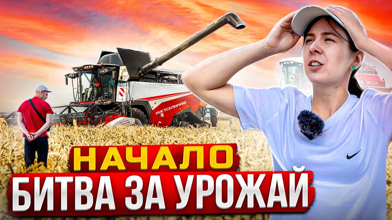 🔴 УБОРКА УРОЖАЯ 2023 НАЧАЛАСЬ! Убираем ОЗИМУЮ ПШЕНИЦУ на Т500