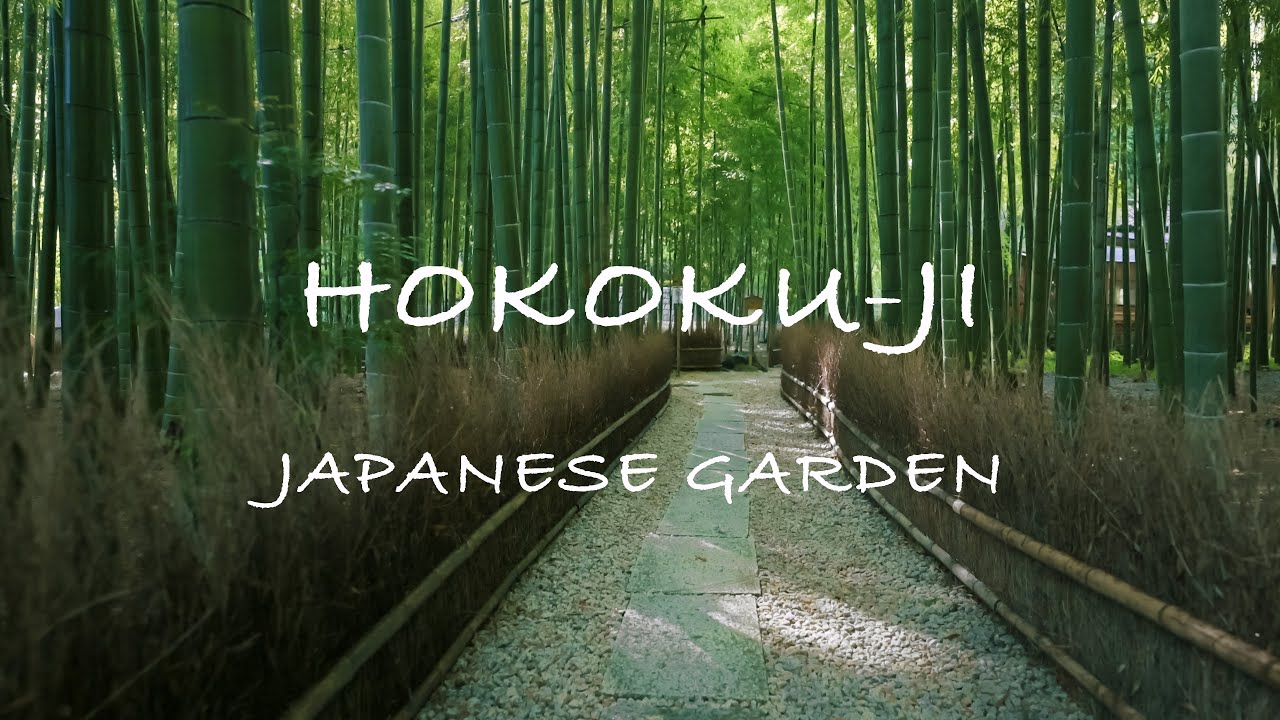 【癒しの緑】鎌倉・報国寺　小鳥さえずる庭園で竹林と苔の緑に癒される