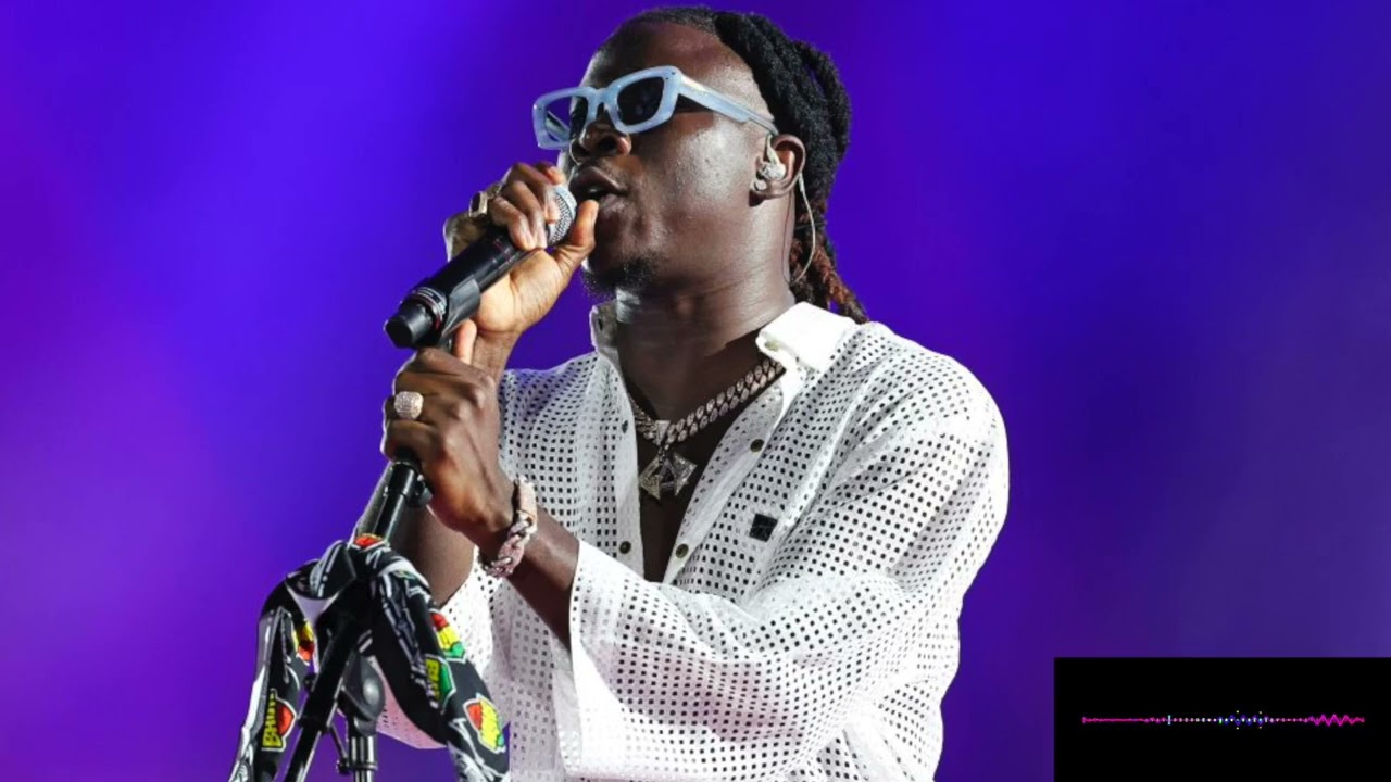 🇬🇭BEST OF STONEBWOY 2025 (AFRICAN DANCEHALL HERO) !!!!! BHIM NATION PRESIDENT🌏