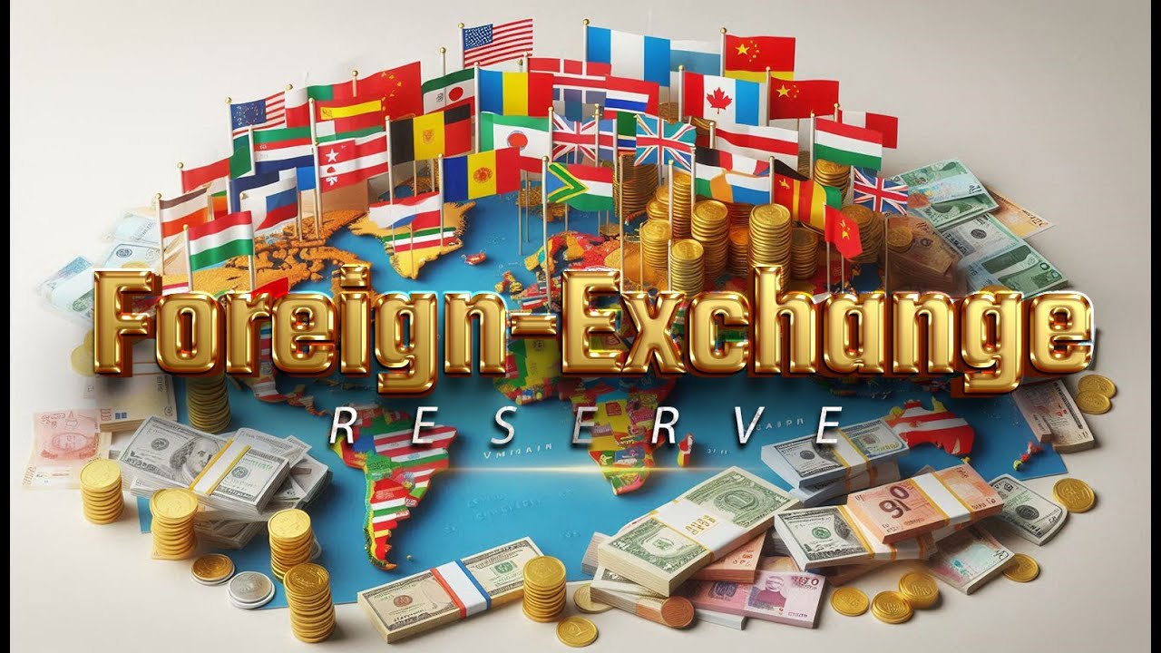 Foreign Exchange Reserve | Short Documentary of Reserve | AI Biography