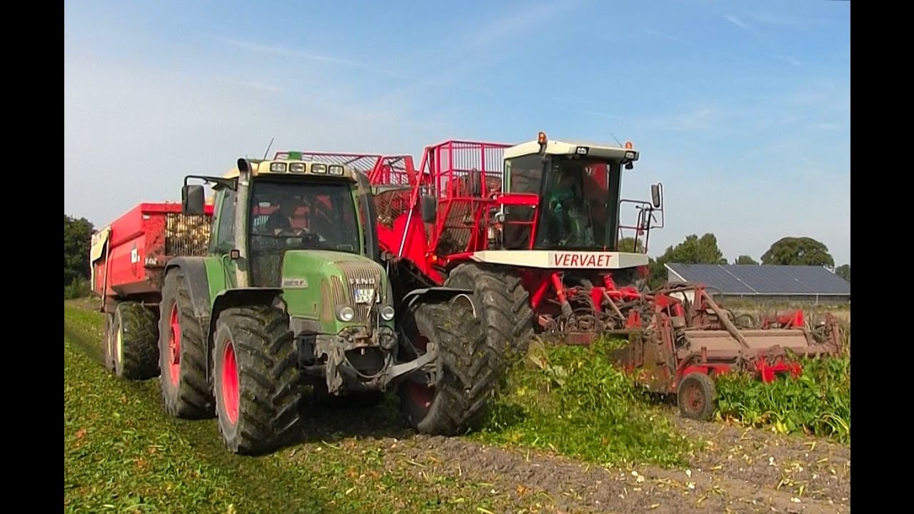Bietenoogst 2016. Met VERVAET 617 Loonb. Stukje Veelerveen.