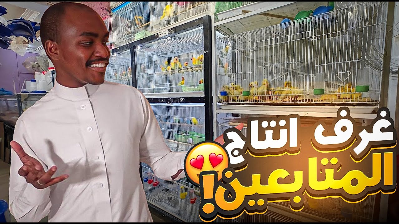 غرف انتاج المتابعين#2