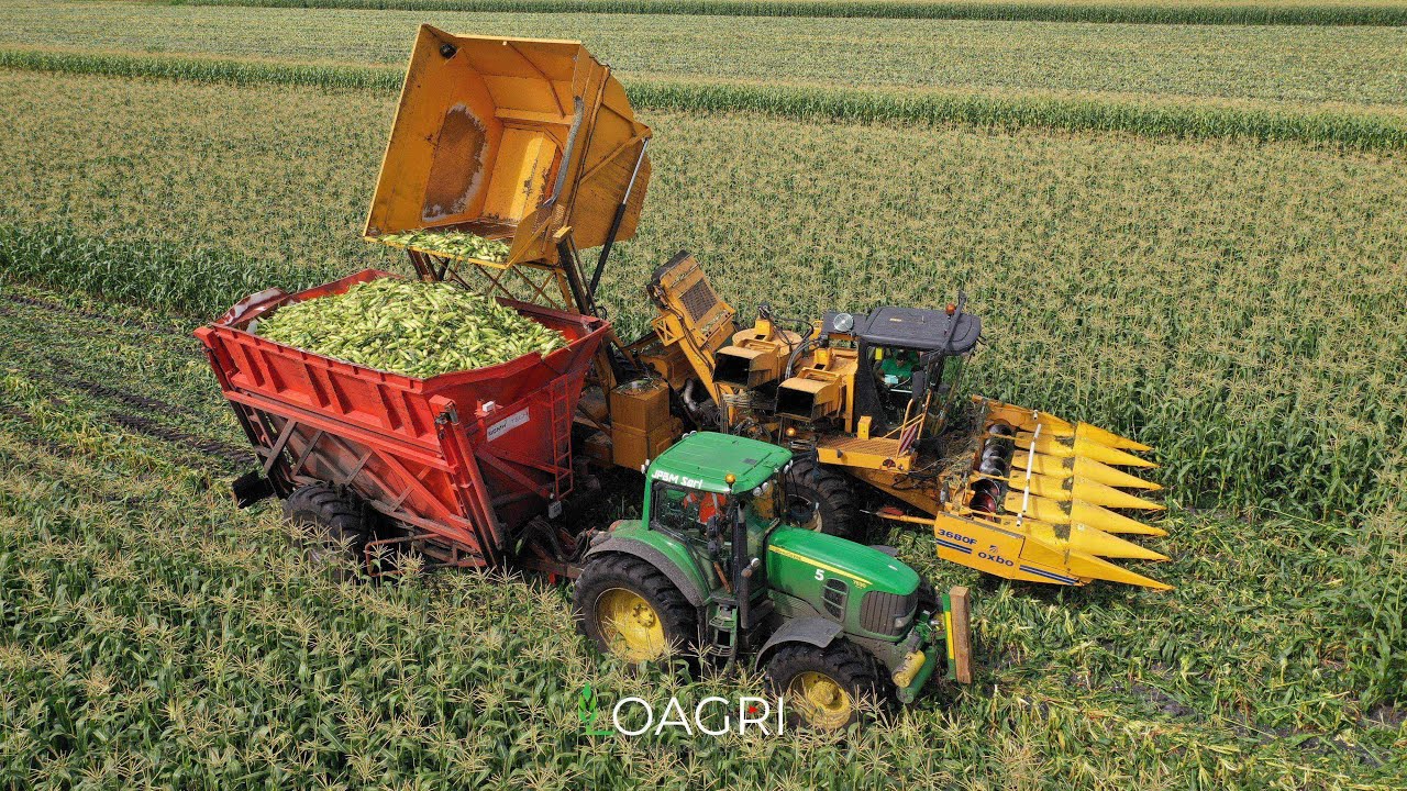 RECOLTE DU MAIS DOUX avec Mr AgriFrance dans les LANDES !