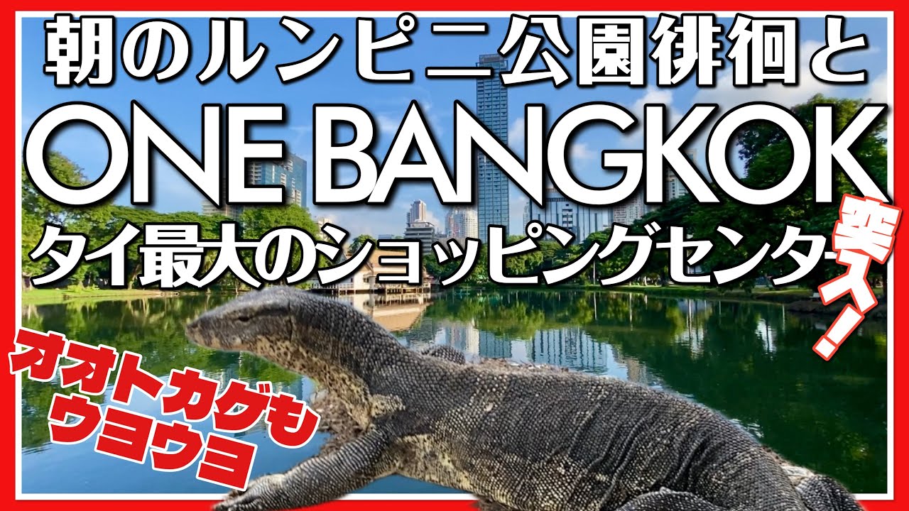 🟥 タイ最大ショッピングセンター ONE BANGKOKに突入/ 朝のルンピニ公園徘徊/ 早朝からの屋台村/ ルンピニドラゴン(オオトカゲ)がウヨウヨ/ ASOKE CHANNEL No.309 🟥