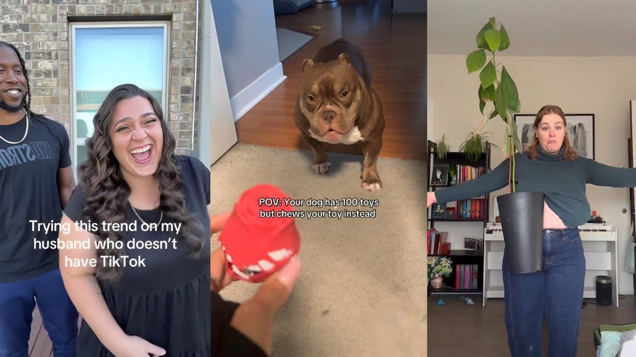 Funny TikToks But If YLYL 😂