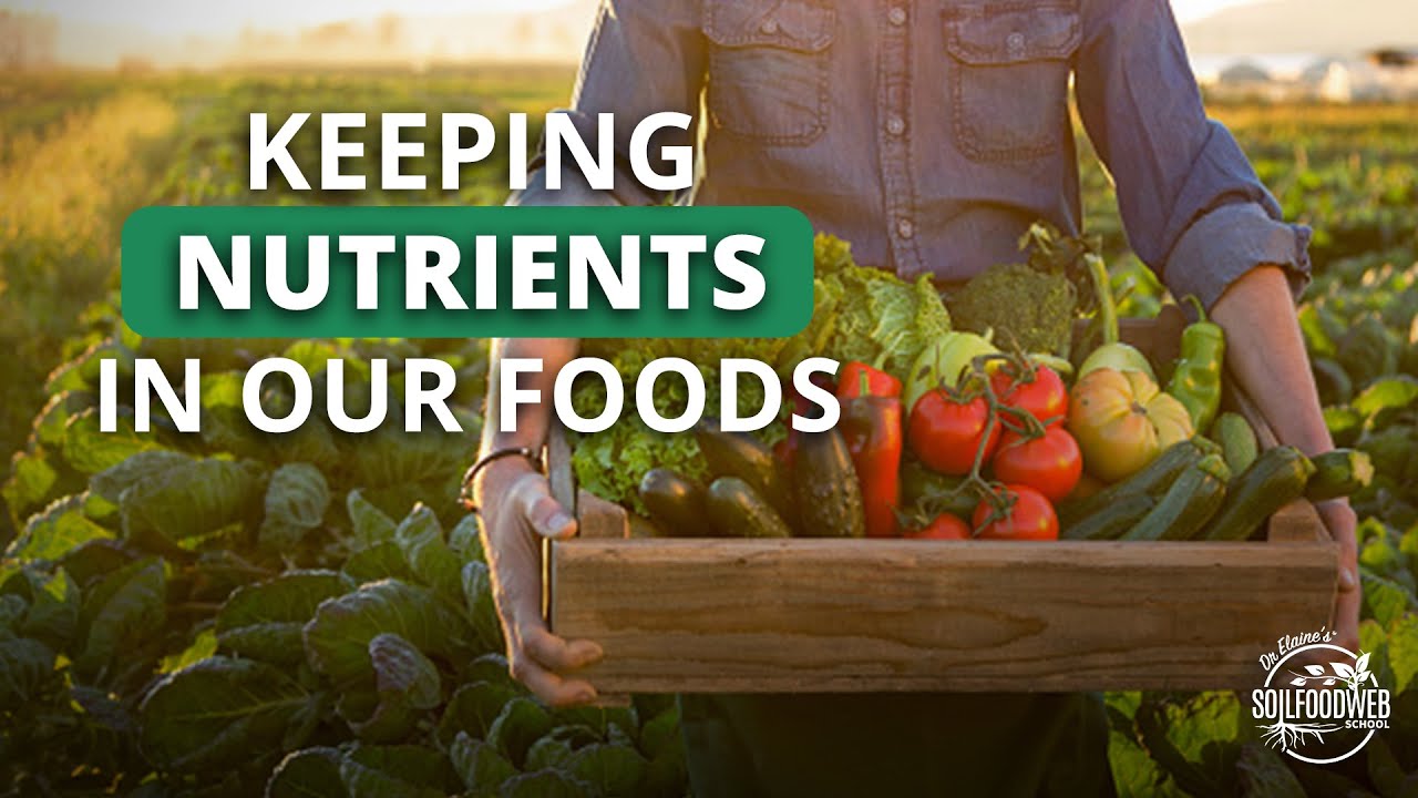 Optimizing Nutrient Density with Dan Kittredge | Soil Food Web School