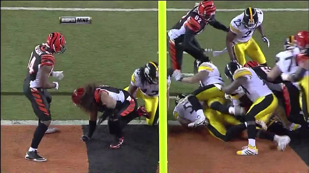Troy Polamalu destroyed by Domata Peko