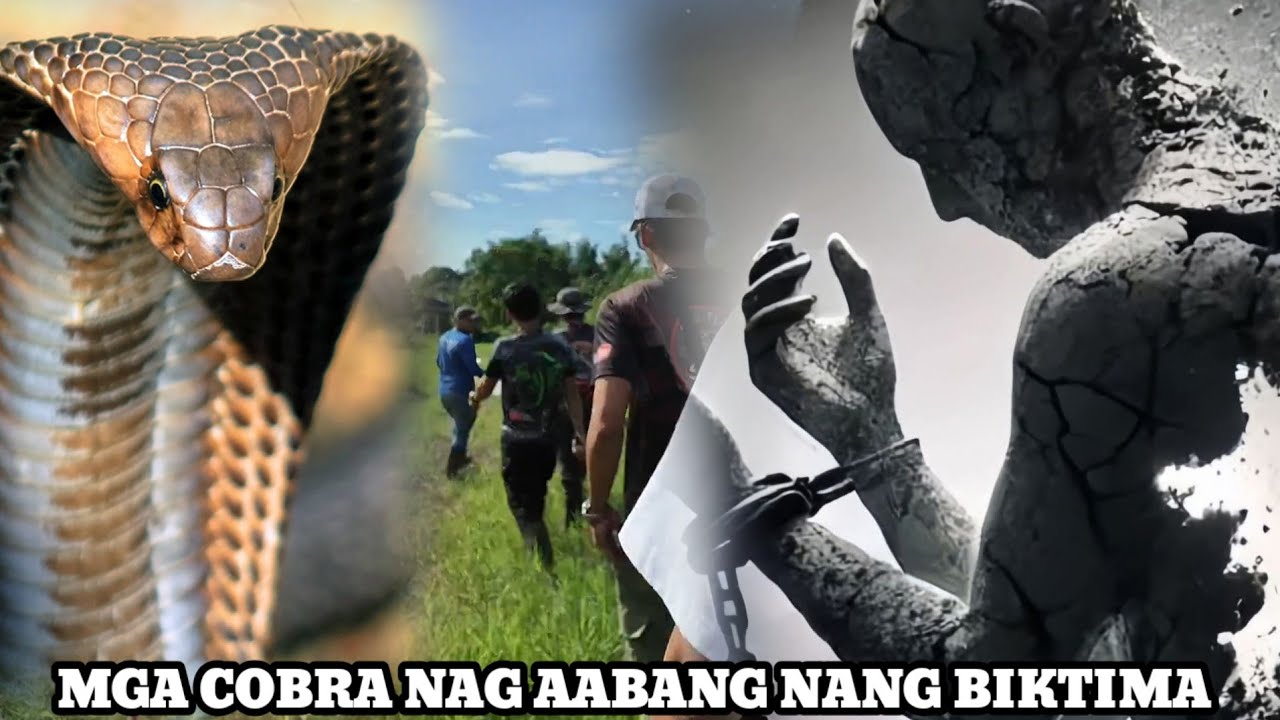 MUNTIK MAAKSIDENTE ANG BIRTHDAY BOY..3 NAG LALAKIHANG COBRA SA IBAAN BATANGAS 