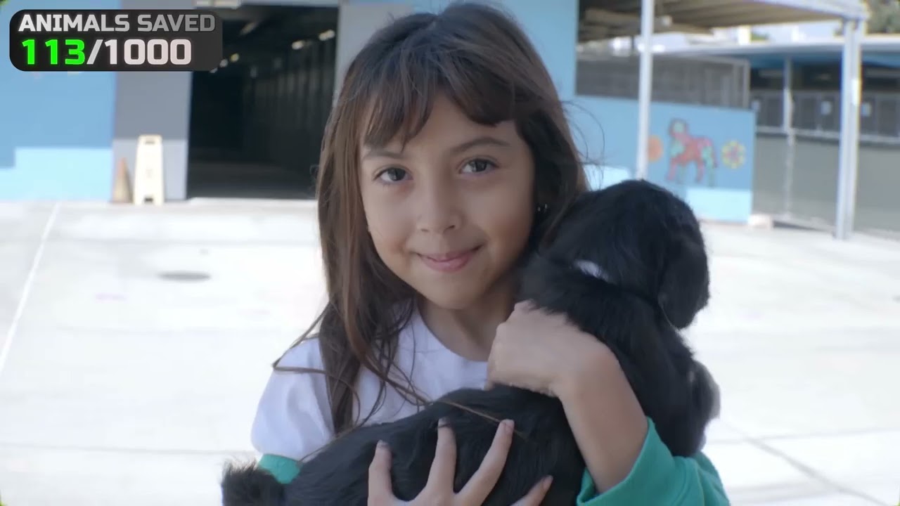 1,000 lives saved &mdash; one mission, one heart.