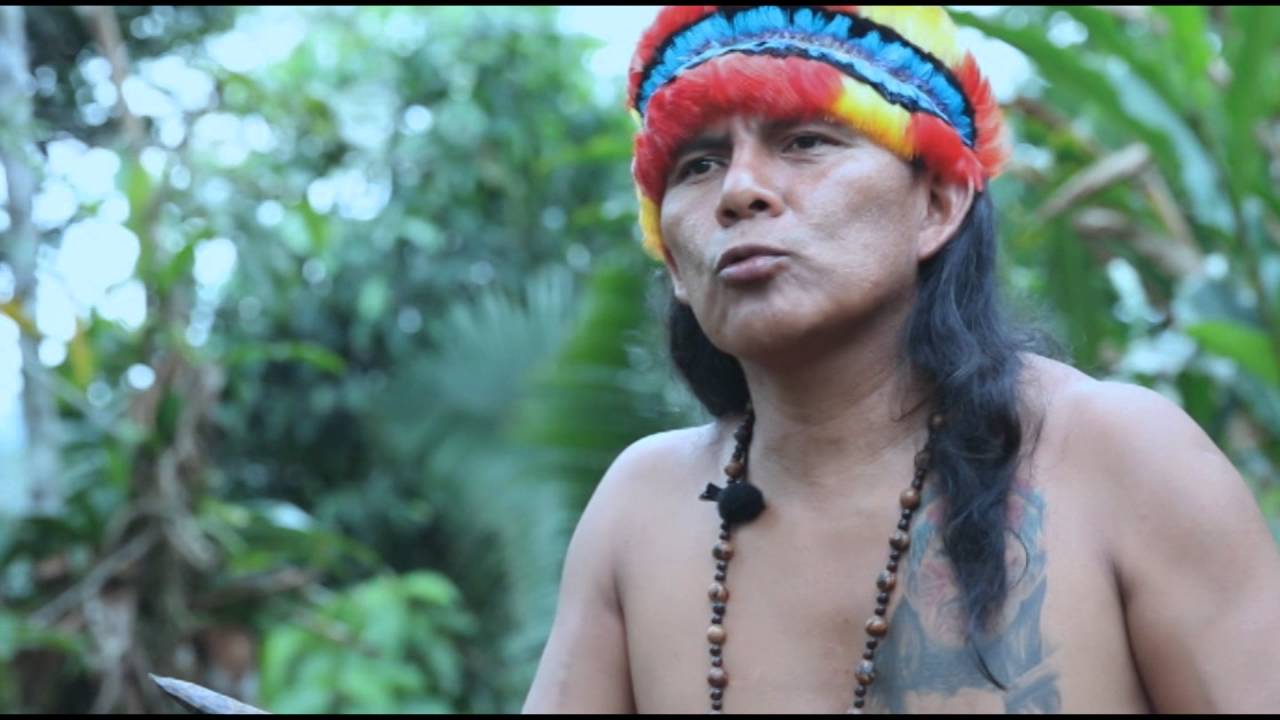 LOS SHUAR TAWASAP AMAZONIA DEL ECUADOR
