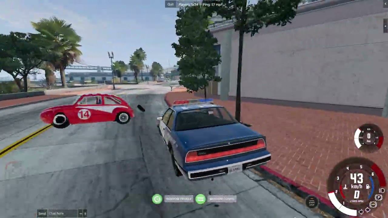 Police chase