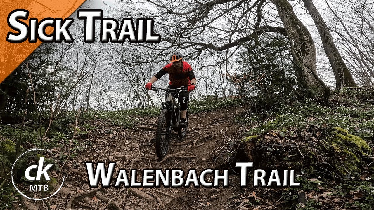 Walenbach Trail - Wetzikon ZH | Focus Sam 6.8 | ck MTB