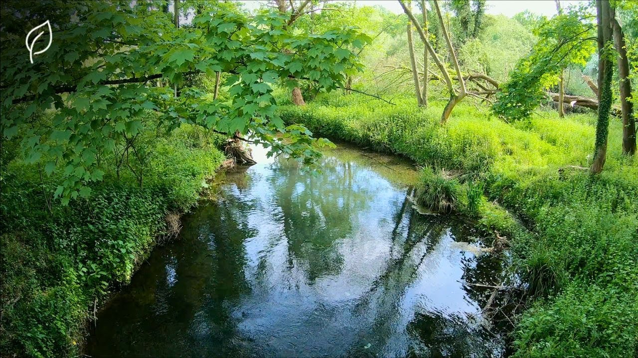 River of Healing | Music for Deep Meditation and Relaxation