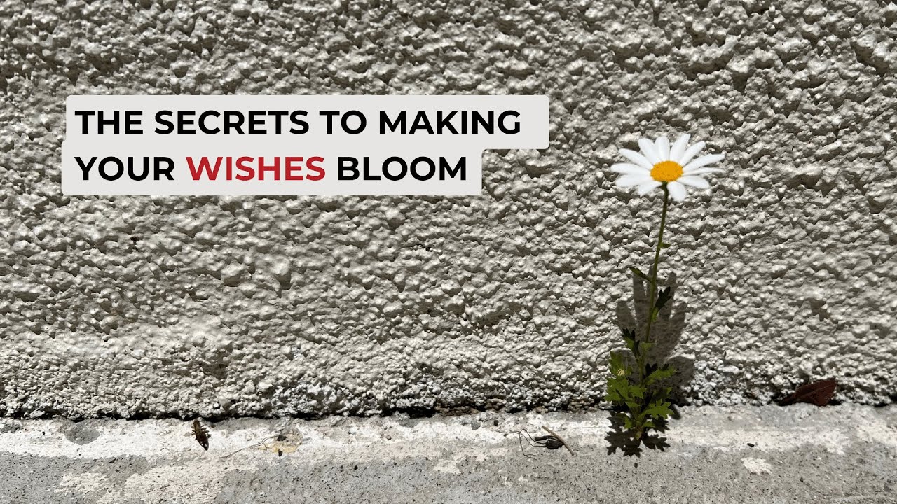 The Secrets to Making Your Wishes Bloom: Transforming Dreams into Reality