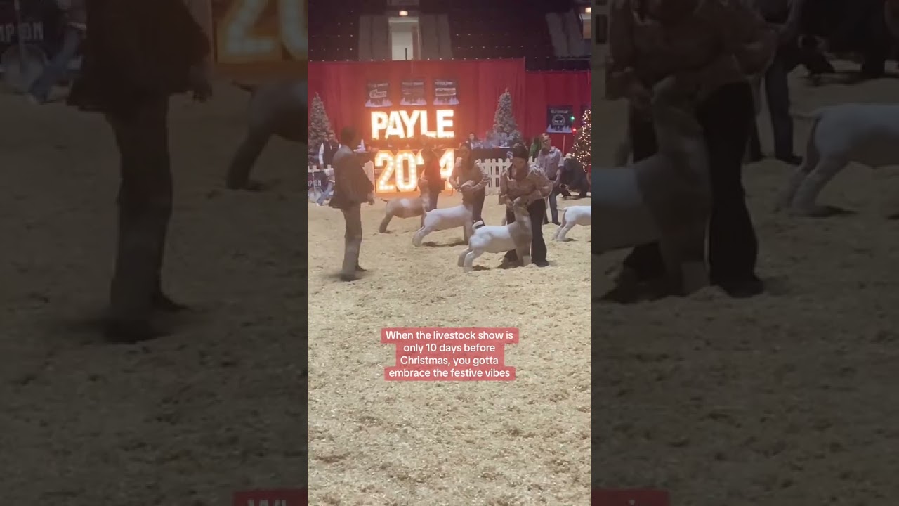 PA Youth Livestock Expo 2024