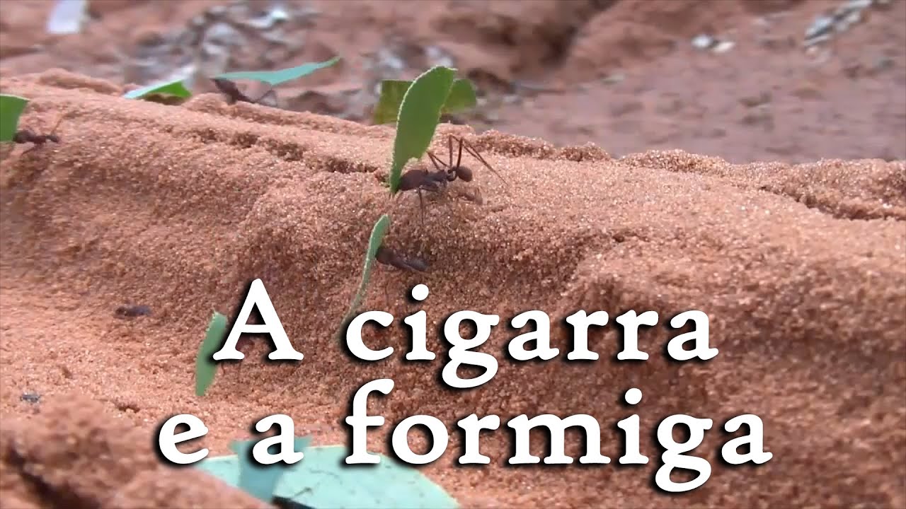 História para crianças: A cigarra e a formiga
