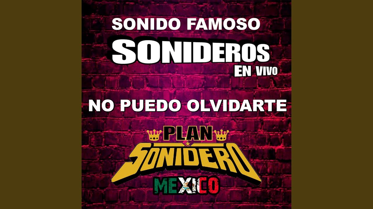 No Puedo Olvidarte (Sonido Famoso)