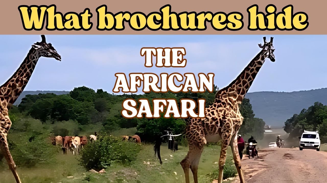 Glamp or budget. Is this bucket list trip worth it?  #safari #kenya #tanzania #africa #travel