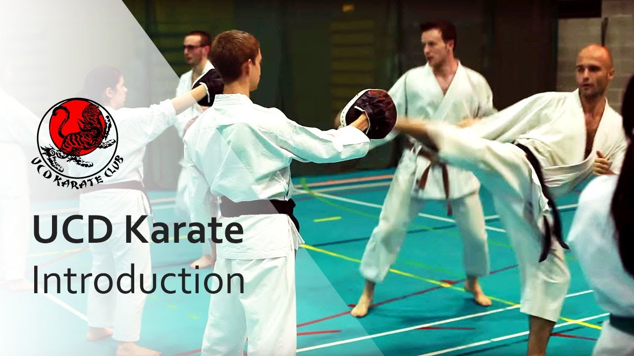 UCD Karate Introduction | Dublin, Ireland