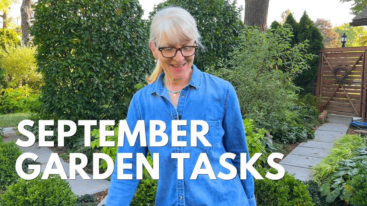 3 Things To Do In the September Garden