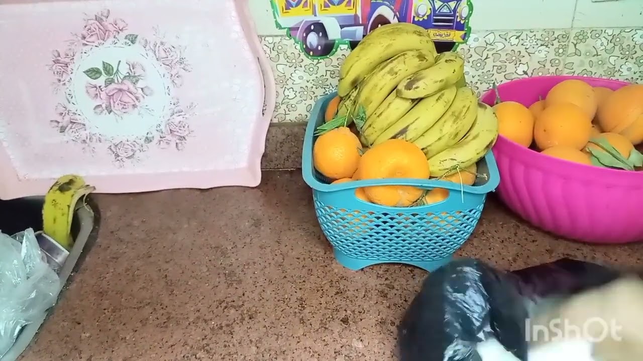 نزلت السوق وعمرت البيت واتصصدمت حرفيا من الأسعار 
