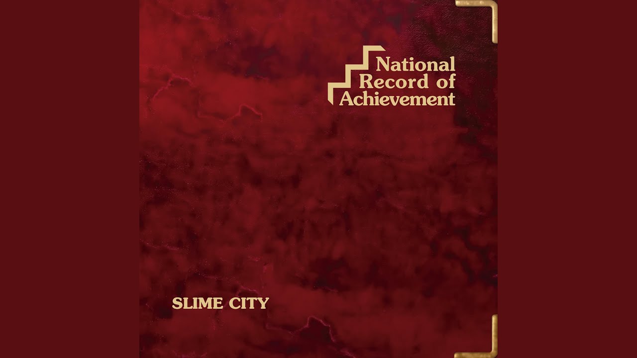 National Record of Achievement