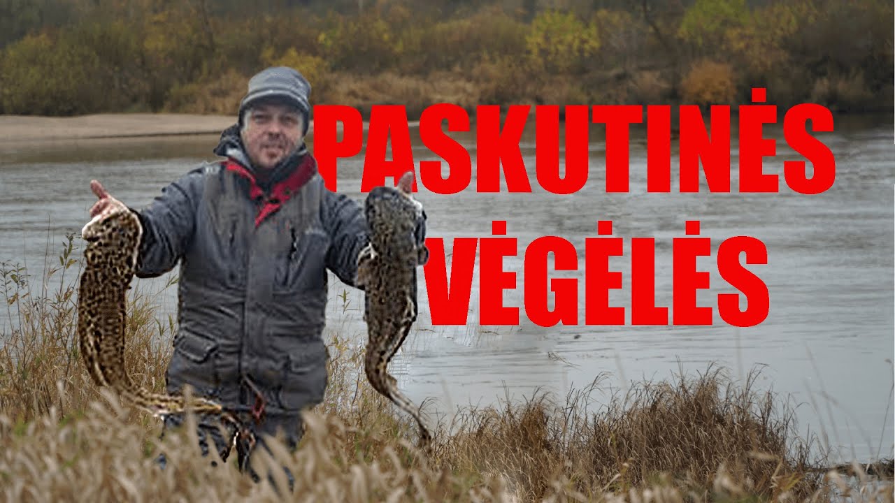 Apie žūklę prie kavos # 13: paskutinės sezono vėgėlės
