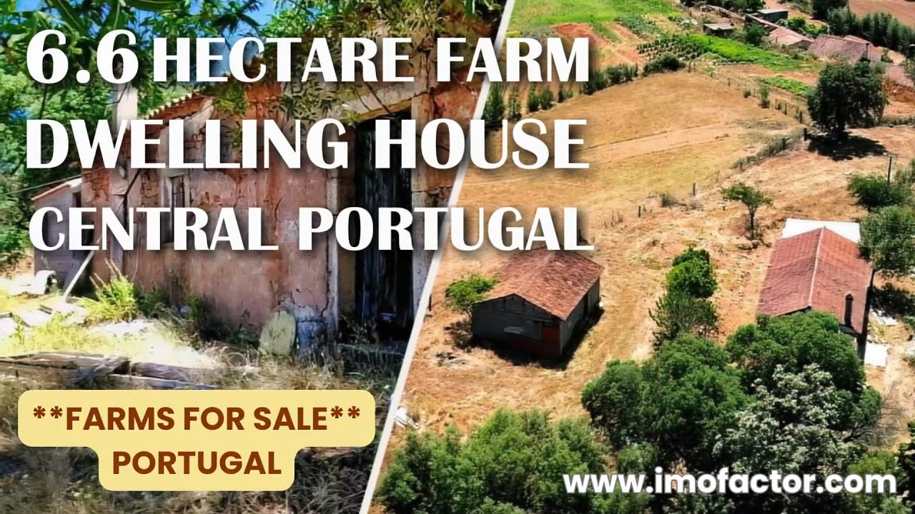 🌄 Farm with 6 Hectares and Dwelling House | Central Portugal | Unavailable
