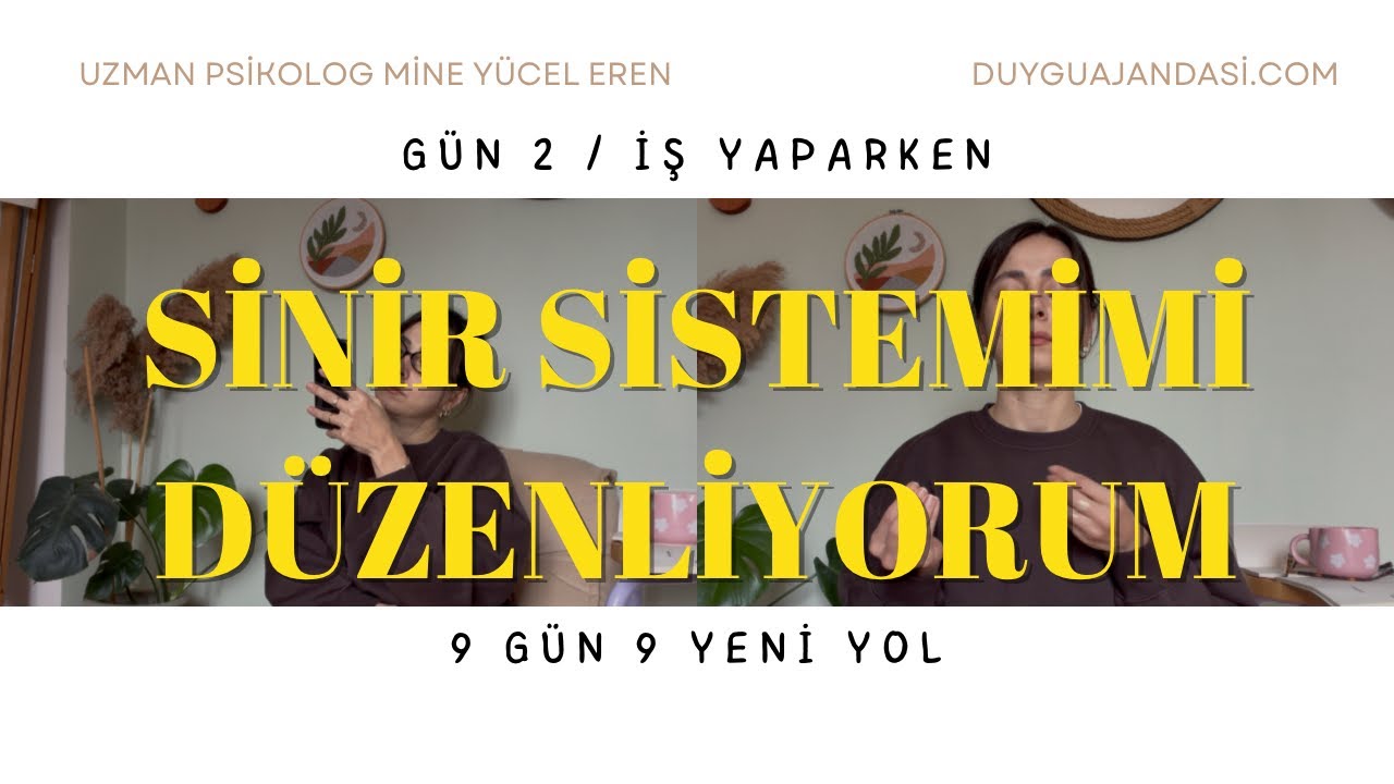 Çalışırken stresi azaltma teknigi | sinir sistemi regülasyonu