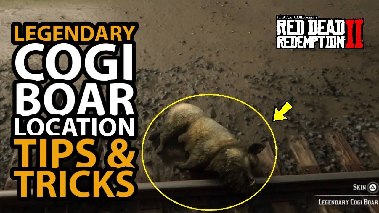 *NEW* Legendary Cogi Boar Location Tips & Tricks in Red Dead Online