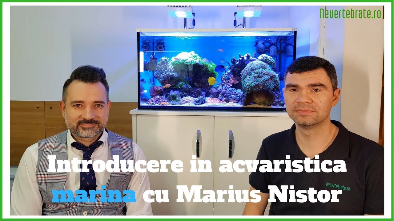 Introducere in acvaristica marina cu Marius Nistor