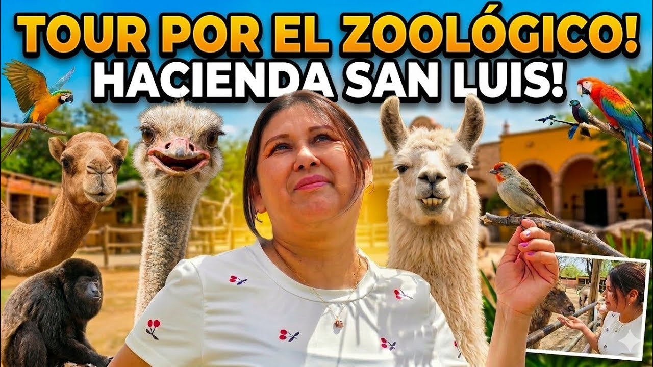 Acompañame al zoológico de  Haciendas San Luis. Nogales Sonora 