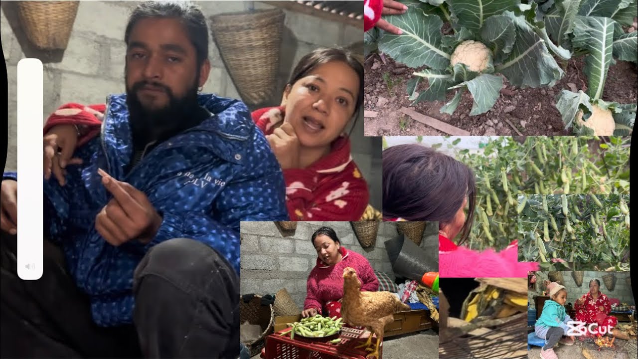 Sasu sanga Bolda sabaile Yesto vane?? Aaja hami Farmanai basne// ramailo gardai farmma 