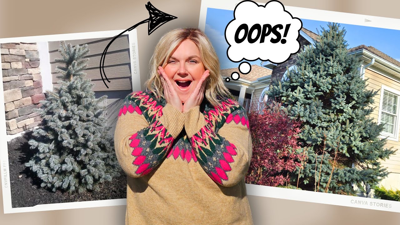 13 Biggest Landscaping Mistakes.