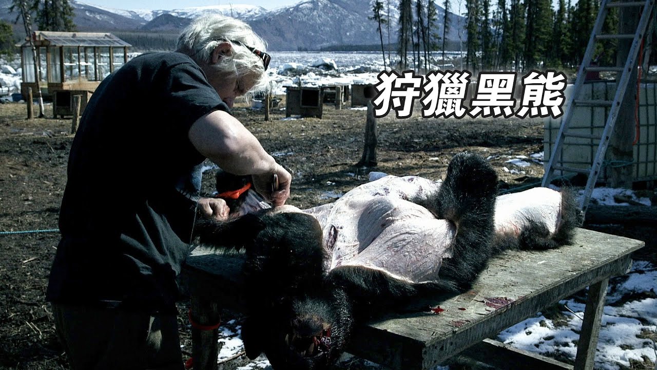 阿拉斯加零度以下的生活，狩獵闖入營地的黑熊，設網捕捉梭子魚，自製野生甩乾機！紀錄片