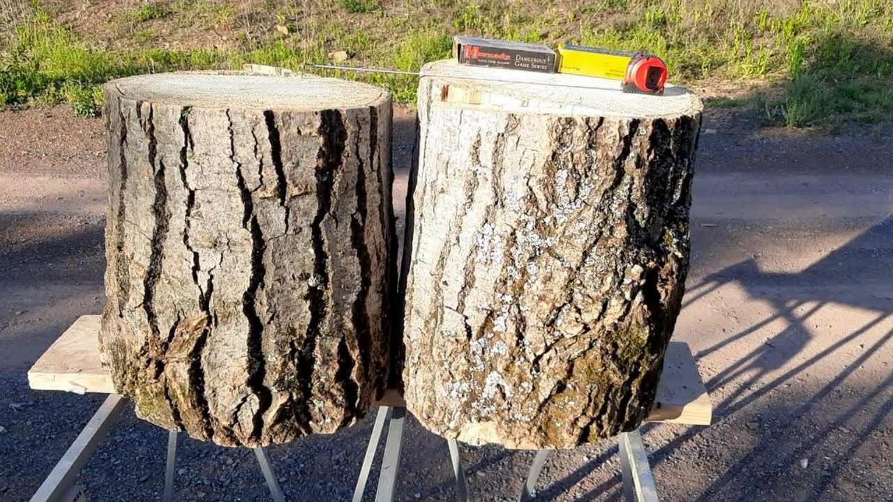 416 Ruger vs 2 GIANT Logs