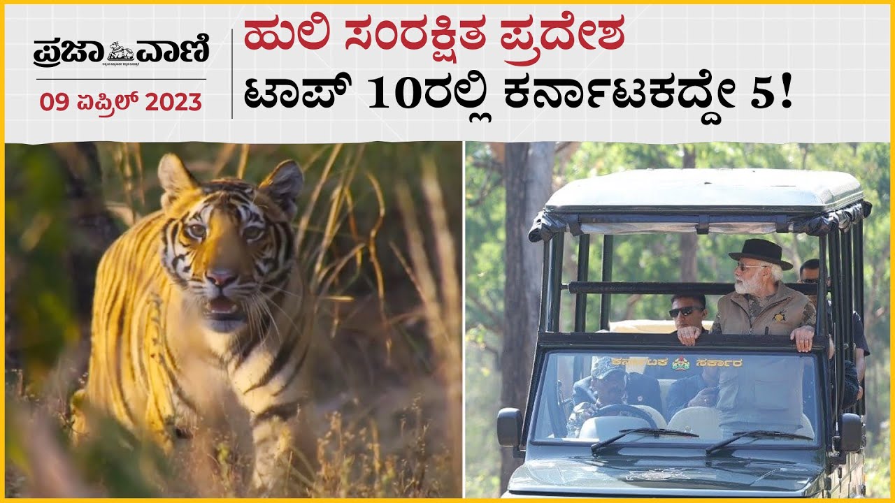 ಹುಲಿ ಸಂರಕ್ಷಿತ ಪ್ರದೇಶ: ಟಾಪ್‌ 10ರಲ್ಲಿ ಕರ್ನಾಟಕದ್ದೇ 5 !  Project Tiger I Karnataka I Bandipur I Modi