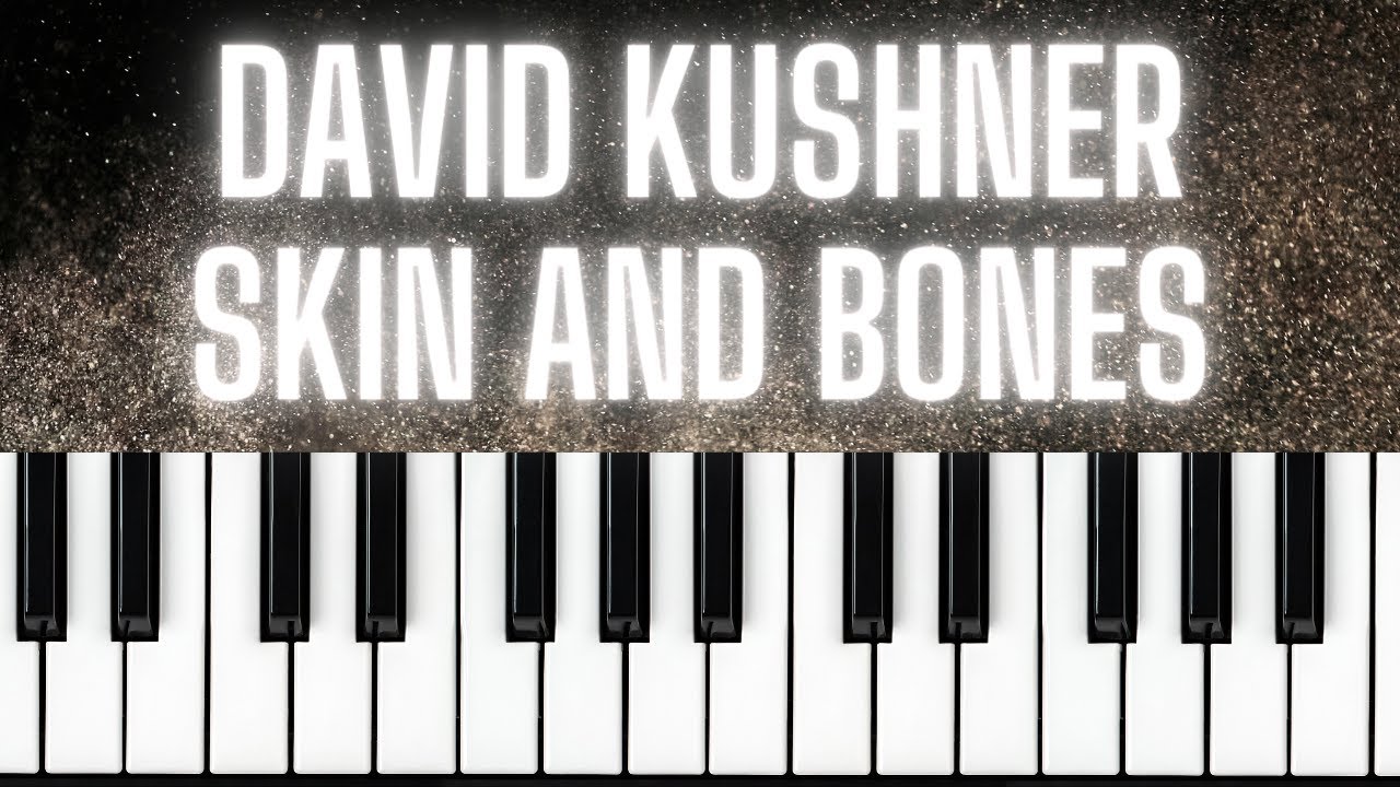 David Kushner - Skin and Bones - Piano Cover / Tutorial