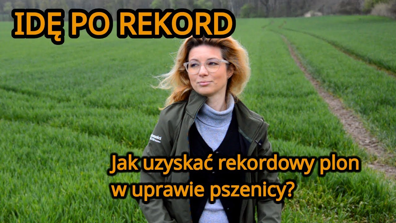 Jak uzyskać rekordowy plon w uprawie pszenicy? Idę po rekord #2