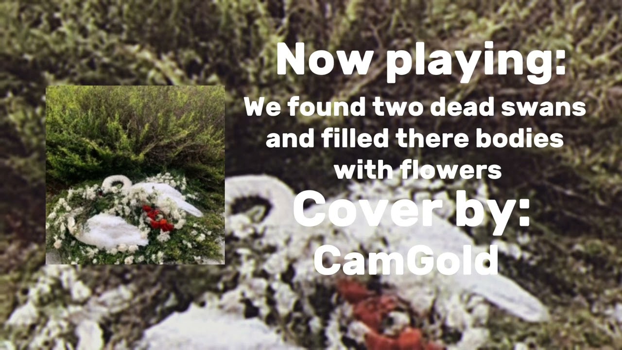 CamGold - “we found two dead swans and filled there bodies with flowers” (cover)