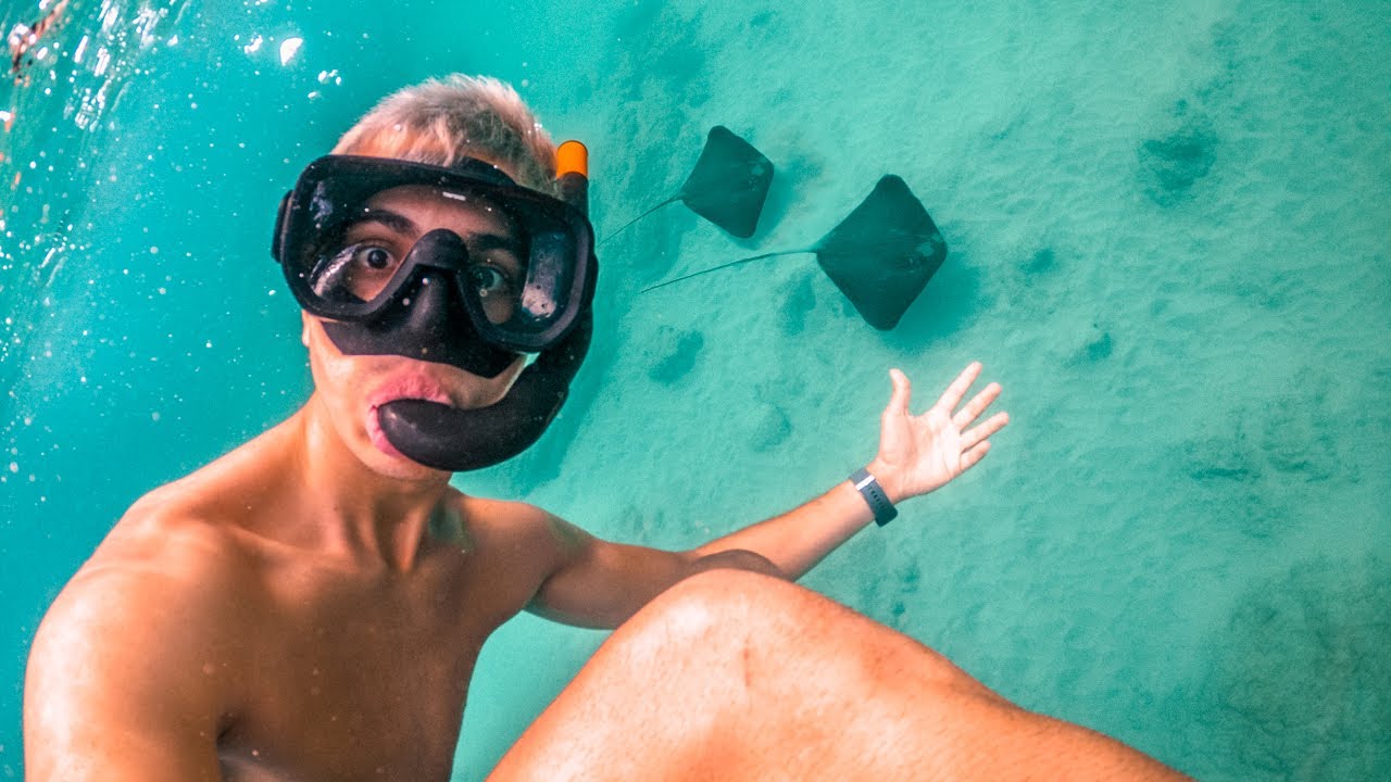 Nadando con TIBURONES en BAHÍA DRAKE | Costa Rica
