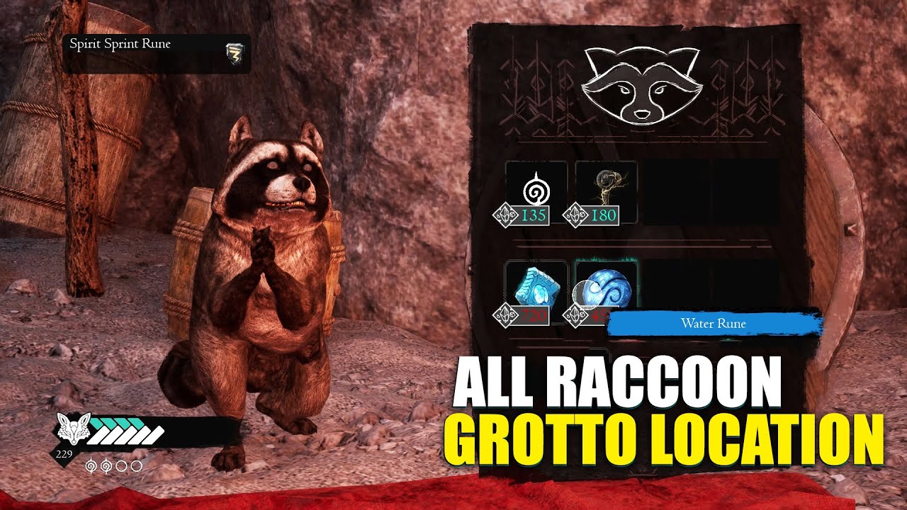 Spirit of the North 2 Raccoon Grotto Locations Guide