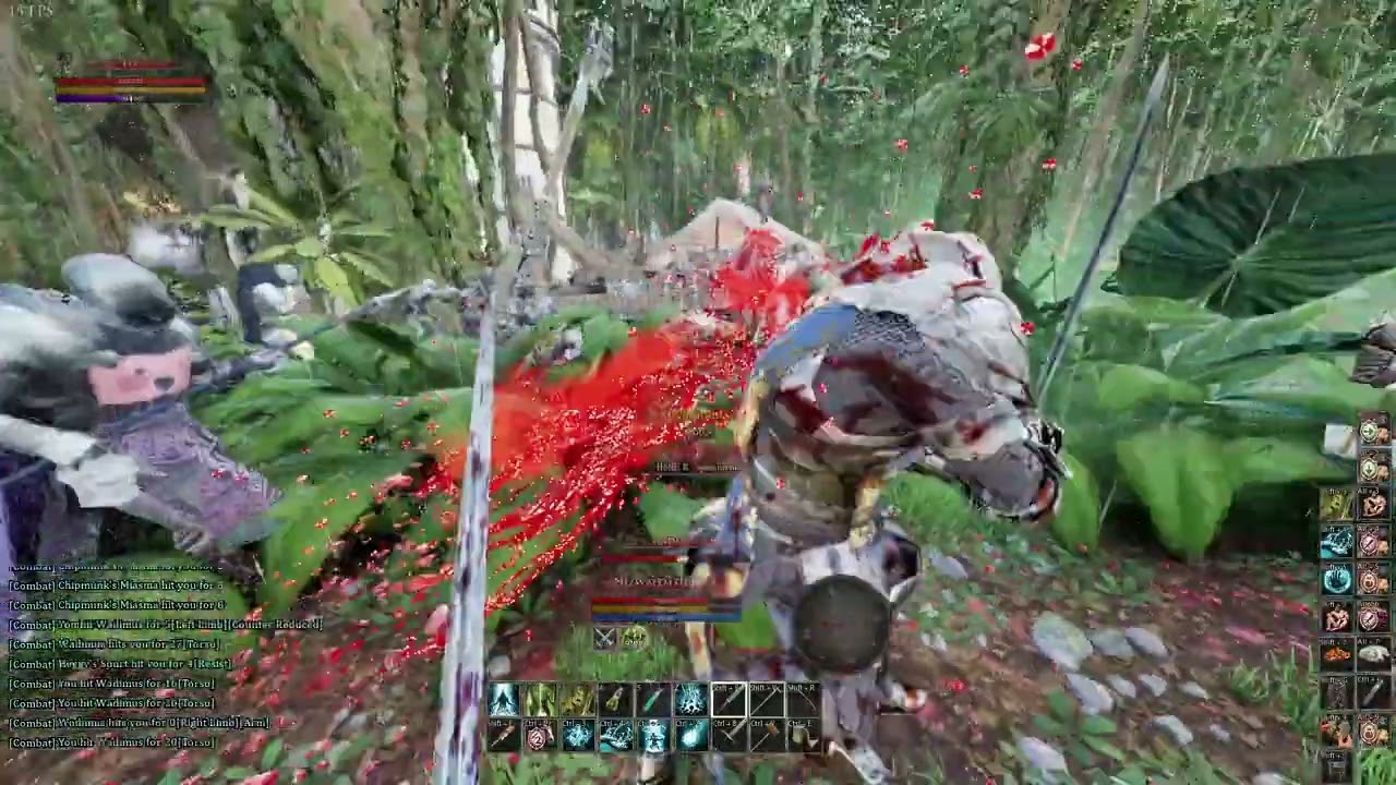ODINSEED JUNGLE ALLIANCE VS COALITION DOGS