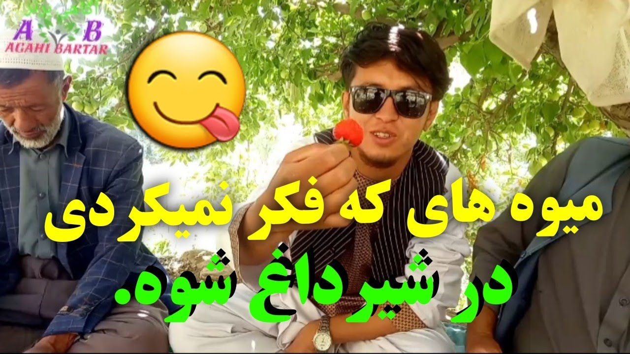  چیزهای که اولین بار هست در شیرداغ گشت میشه و رشد قابل توجه داشته..