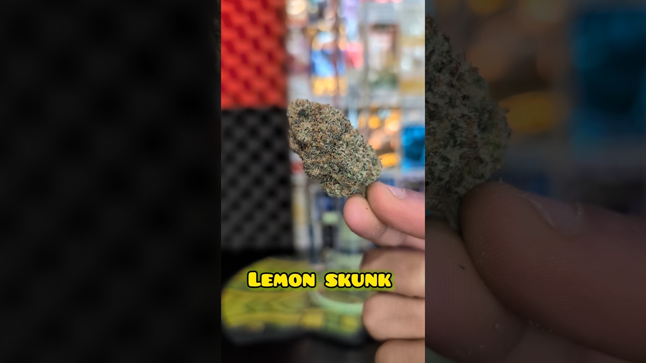 LEMON SKUNK BONG RIP 🔥 #cheers #420 #review