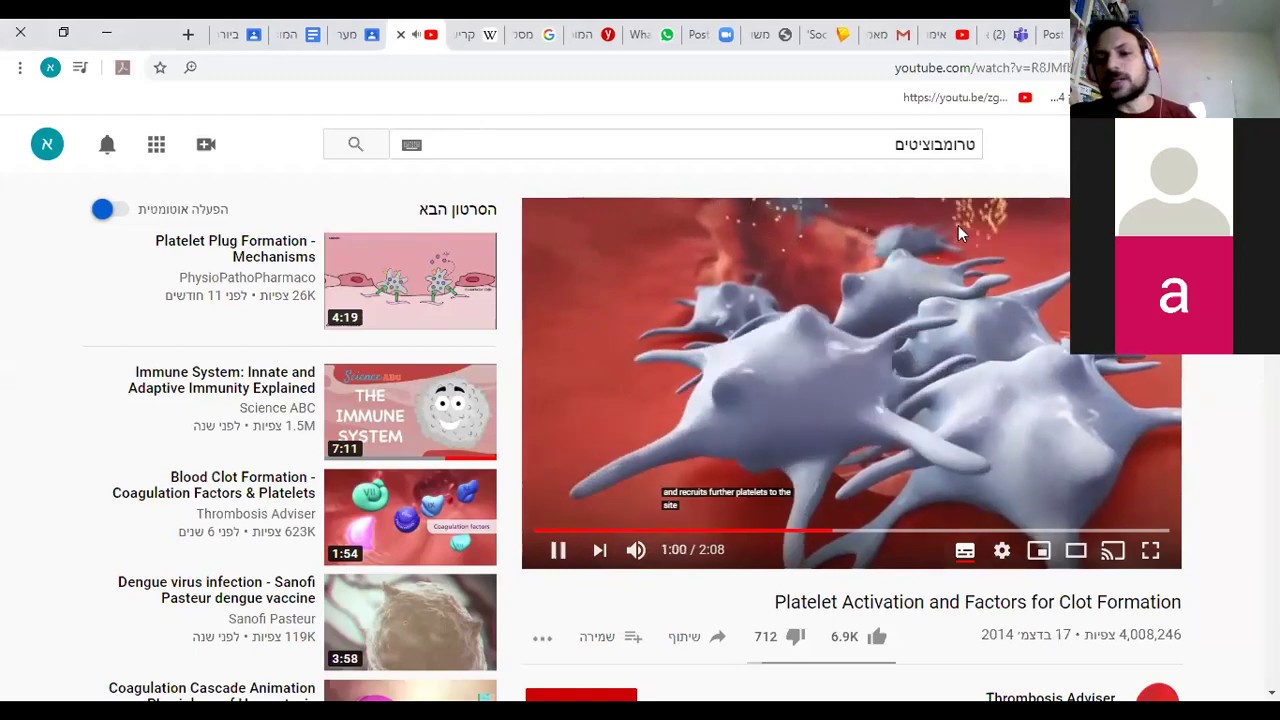 המטולוגיה- מנגנון קרישת הדם