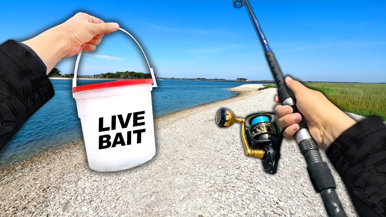 Eating Whatever I Catch.. Fishing an ISLAND! (Catch and Cook)