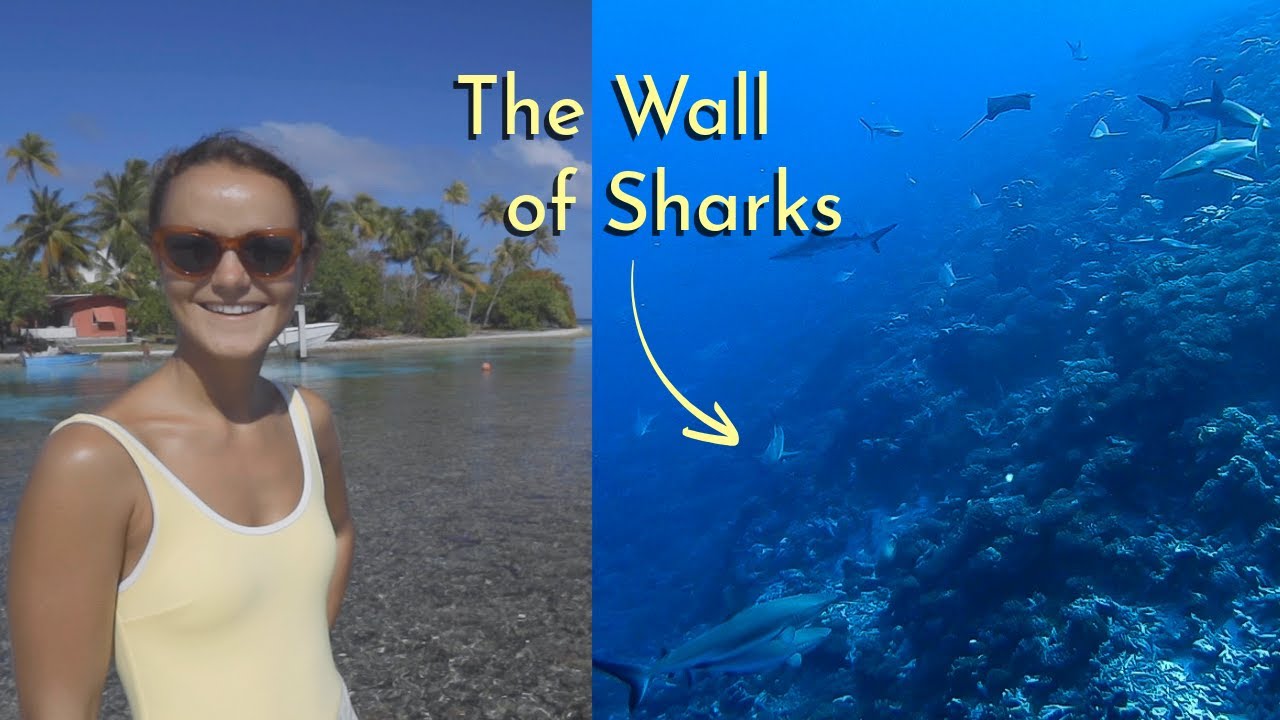 South Pacific Sailing: Diving with Sharks in the Tuamotus